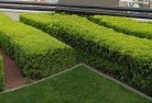 Martynvalecommercial-landscaping-1.jpg; ?>
